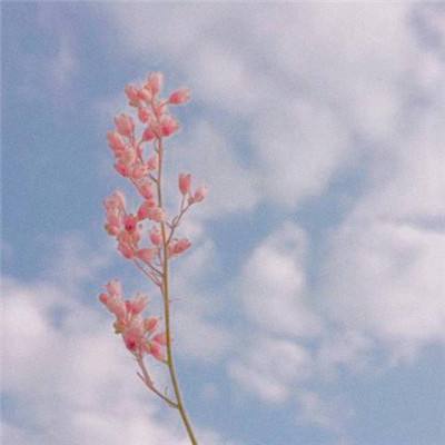 方块音符无限生命版下载